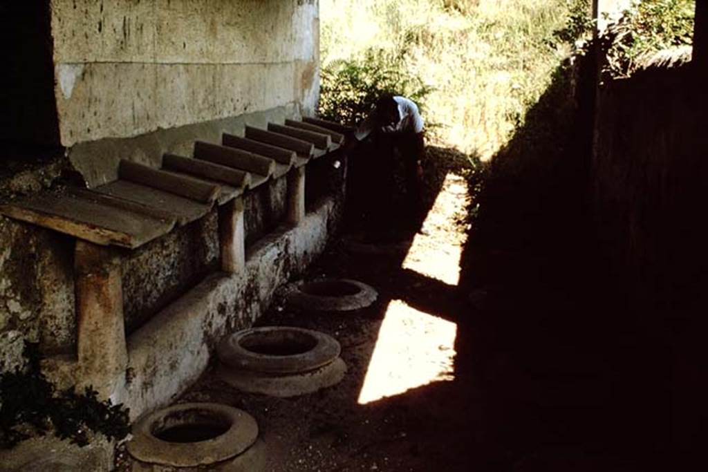 II.5.5. Pompeii. 1964. Looking north in building where wine was made.  Photo by Stanley A. Jashemski.
Source: The Wilhelmina and Stanley A. Jashemski archive in the University of Maryland Library, Special Collections (See collection page) and made available under the Creative Commons Attribution-Non Commercial License v.4. See Licence and use details.
J64f2008
