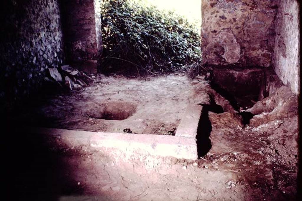 II.5 Pompeii. 1966.  Looking north in area on west side of room where wine was made. 
 Photo by Stanley A. Jashemski.
Source: The Wilhelmina and Stanley A. Jashemski archive in the University of Maryland Library, Special Collections (See collection page) and made available under the Creative Commons Attribution-Non Commercial License v.4. See Licence and use details.
J66f0403
