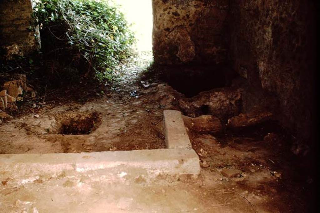 II.5.5 Pompeii. 1964. Looking north in area on west side of room where wine was made. Photo by Stanley A. Jashemski.
Source: The Wilhelmina and Stanley A. Jashemski archive in the University of Maryland Library, Special Collections (See collection page) and made available under the Creative Commons Attribution-Non Commercial License v.4. See Licence and use details.
J64f2011

