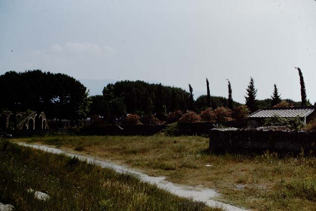 II.5.5 Pompeii.  September 2005. Triclinium amongst the vines

