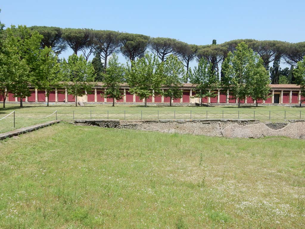 II.7 Pompeii. June 2019. Looking north across pool. Photo courtesy of Buzz Ferebee.