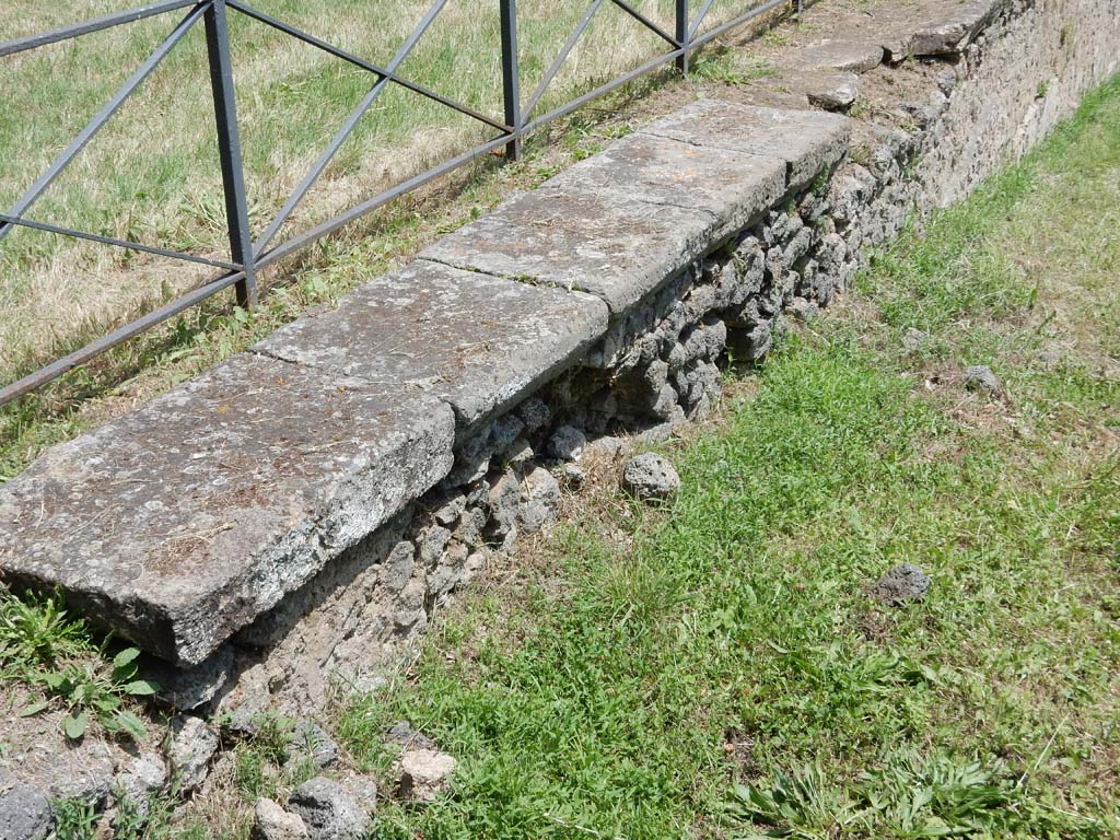 II.7 Pompeii. June 2019. Edge of pool in north-west corner. Photo courtesy of Buzz Ferebee.