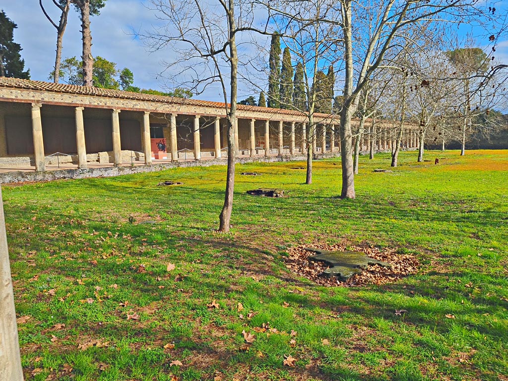 II.7.8 Pompeii. Palaestra. March 2024. Looking east along north portico from west portico. Photo courtesy of Giuseppe Ciaramella.