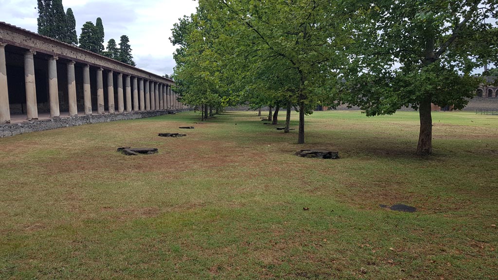 II.7.8 Pompeii. Palaestra. August 2023. Looking east from west portico. Photo courtesy of Maribel Velasco.