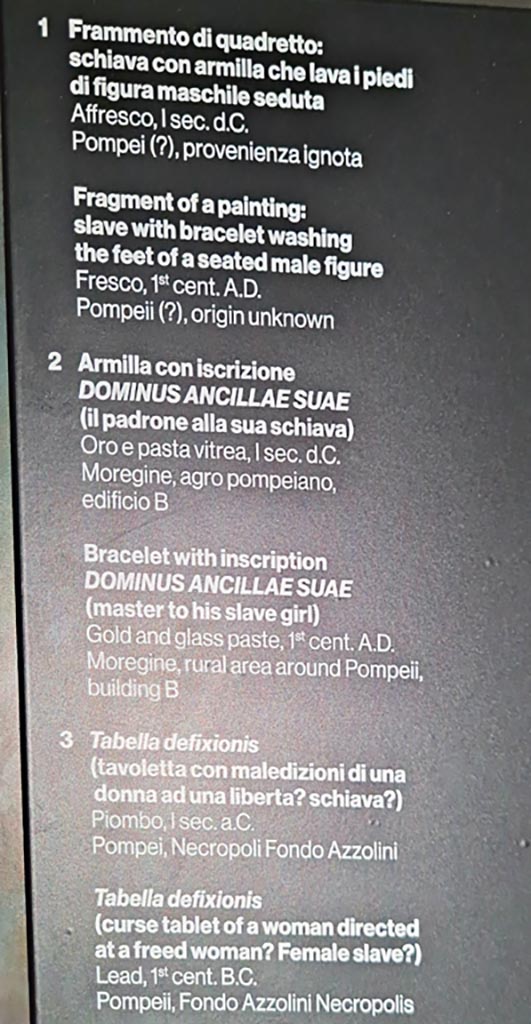 II.7.9 Pompeii. Palaestra. March 2024.
Information card for display cabinet. Photo courtesy of Giuseppe Ciaramella.