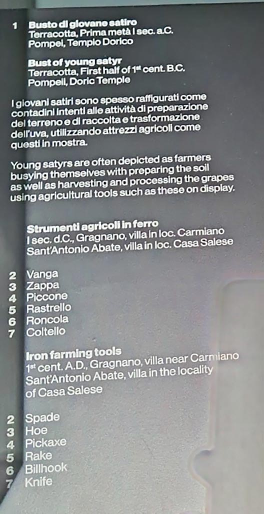 II.7.9 Pompeii. Palaestra. March 2024. Photo courtesy of Giuseppe Ciaramella.
Information card of items in display cabinet from –
Doric Temple, Gragnano, villa near Carmiano, and Sant’Antonio Abate, villa in the locality of Cala Salese.
On display in exhibition entitled – “L’altra Pompei, vite comuni all’ombra del Vesuvio”.