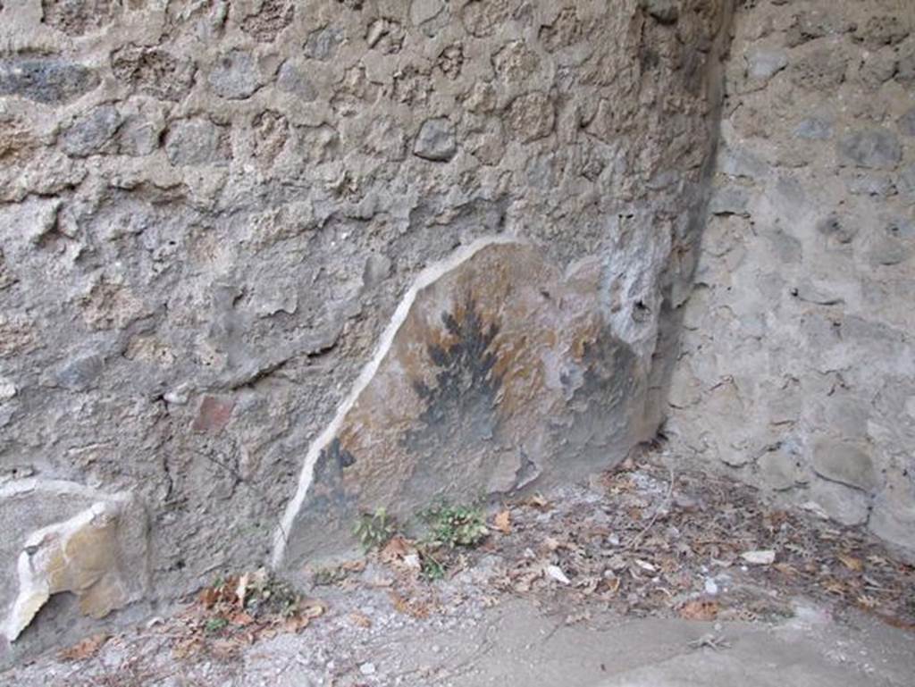 II.9.2 Pompeii. December 2007.  Garden.  Painted plant on north wall above triclinium.