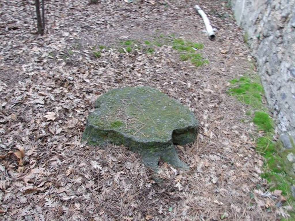 II.9.2 Pompeii. December 2007. Cast of tree root in garden 8.
The garden was shaded by a large pine tree under which eight small hazels and various horticultural plants were placed close to the perimeter walls.
See Attivit della Soprintendenza: Regio II, Insula 9: Rivista di Studi Pompeiani II, 1988, p. 200, fig. 50.
