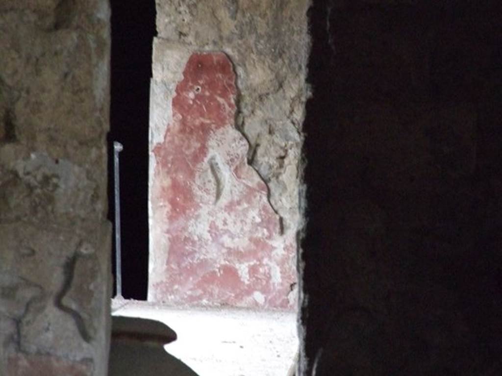 II.9.5 Casa del Triclinio all’ aperto.  December 2006.  Room 6.  Peristyle at rear of property.  Painted plaster on rear east end wall of corridor.