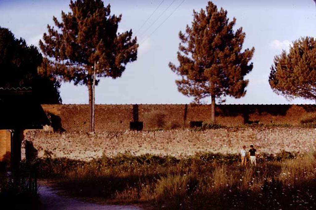 II.9.7 Pompeii. 1970. Looking towards east wall of garden area, with the west wall of the Palaestra at its rear. Photo by Stanley A. Jashemski.
Source: The Wilhelmina and Stanley A. Jashemski archive in the University of Maryland Library, Special Collections (See collection page) and made available under the Creative Commons Attribution-Non Commercial License v.4. See Licence and use details.
J70f0746
