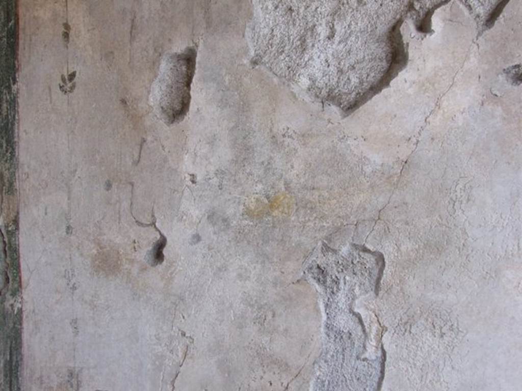 III.2.1 Pompeii.  March 2009.  Room 5.  Ala.  Remains of painting.