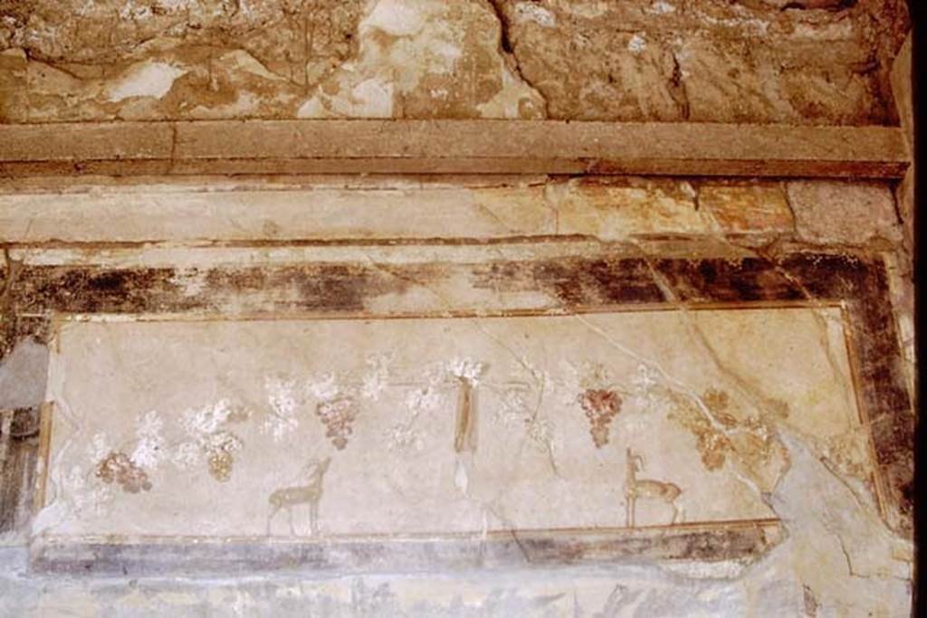 III.2.1 Pompeii. 1968. Room 9, east side of north wall above window in tablinum.
Photo by Stanley A. Jashemski.
Source: The Wilhelmina and Stanley A. Jashemski archive in the University of Maryland Library, Special Collections (See collection page) and made available under the Creative Commons Attribution-Non Commercial License v.4. See Licence and use details.
J68f0389
