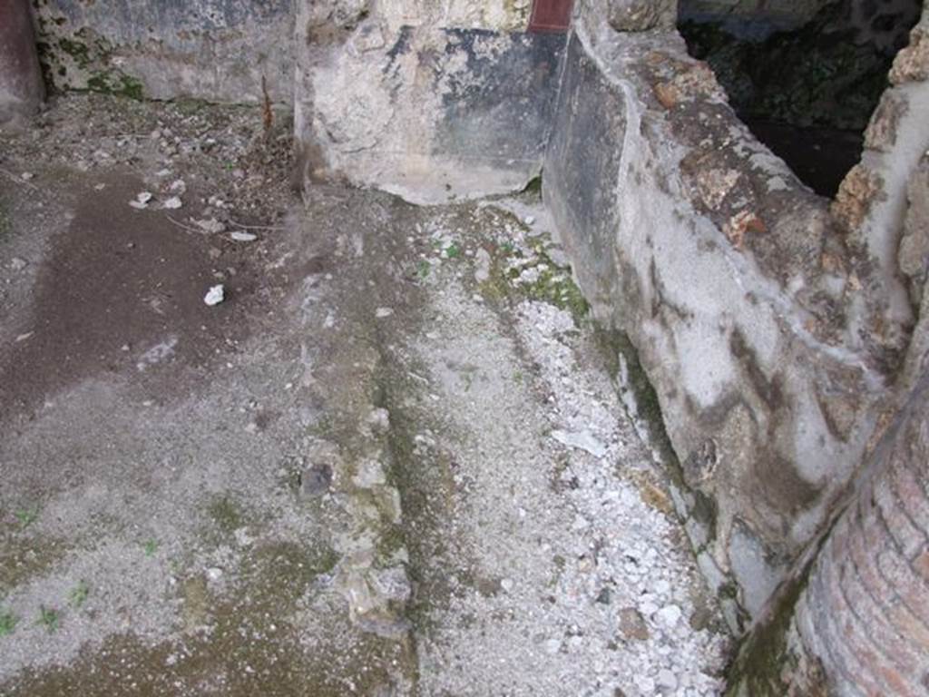III.2.1 Pompeii.  March 2009.  Room 20. Summer Triclinium and Garden area. Gutter on east side, under a window of room 14.