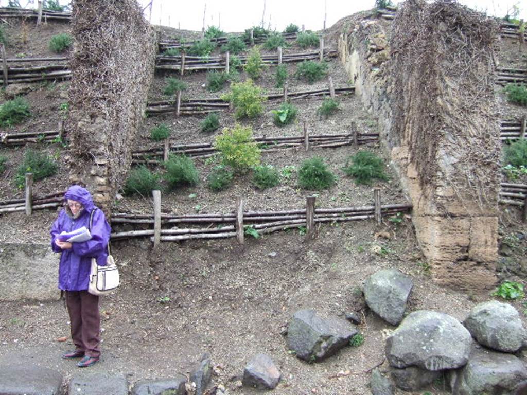 III.6.6 Pompeii. December 2005.  Unexcavated roadway, looking north.              III.7.1
