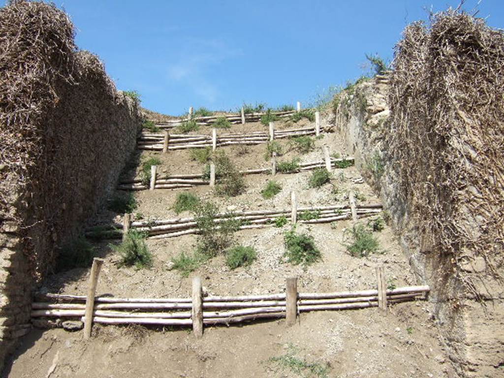 III.6 Pompeii, on left. September 2005.      Looking north into unexcavated roadway.                                III.7.1, on right.