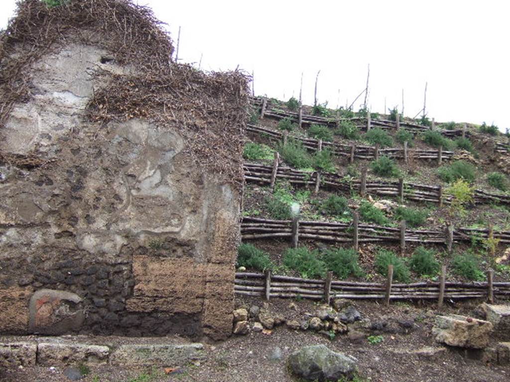 III.7.1 Pompeii. December 2005.  Wall on west side of entrance doorway, the east side of the doorway no longer exists.  On both sides of the entrance doorway would have been stone benches. According to CTP, the wall to the east of the entrance has now collapsed. See Van der Poel, H. B., 1986. Corpus Topographicum Pompeianum, Part IIIA. Austin: University of Texas. (p.64)
According to Garcia y Garcia, the aerial bombardment led to the partial destruction of the southern perimeter wall, as well as the painted III style prothyron, and the part on the right (east) of the entrance doorway.  See Garcia y Garcia, L., 2006. Danni di guerra a Pompei. Rome: L’Erma di Bretschneider. (p.60)
According to Della Corte many graffiti were found both to the left and right of the entrance doorway.  Found on the front wall were –
L.  Popidium  Secundum
aed(ilem)  Propin(qui)  facientes  rogant        [CIL IV 7787]
According to Epigraphik-Datenbank Clauss/Slaby (See www.manfredclauss.de) [CIL IV 7787 reads as -
L(ucium)  Popidium 
Secundum  aed(ilem)  propin(qui)  facientes 
rogant       [CIL IV 7787]
(Popidius)  Metellicus  cupit      [CIL IV 7795]
According to Epigraphik-Datenbank Clauss/Slaby (See www.manfredclauss.de) [CIL IV 7795] reads as -
[3]ium 
IIvir(um)  i(ure)  d(icundo)  Metallicus  cupit       [CIL IV 7795]
At least three other electoral programmes were found for L. Popidius Secundus, on this same façade –
Popidium a(e)d(ilem)     [CIL IV 7788]
L(ucium)  P(opidium)  S(ecundum)  a(edilem)  o(ro)  v(os)  f(aciatis)       [CIL IV 7796]
Sec]undum 
[3] so[dales(?)       [CIL IV 7799]
And another from one of his servants, written on the lower part of the wall -   Secundi Popidi Sosigenes    [CIL IV 8943]
According to Epigraphik-Datenbank Clauss/Slaby (See www.manfredclauss.de) [CIL IV 8943] reads as -
Sosigene(s) Popi[di] Secundi      [CIL IV 8943]
Found to the left of the entrance doorway was another recommendation from Suedius Clemens supporting M. Epidio Sabino, as candidate for a duumvirship – 
[M(arcum)  Epidium  Sabinum] 
IIvir(um)  [d(ignum)]  r(ei)  p(ublicae)  o(ro)  v(os)  f(aciatis)  S[uedio ] 
Clementi 
[fe]liciter       [CIL IV 7780]


