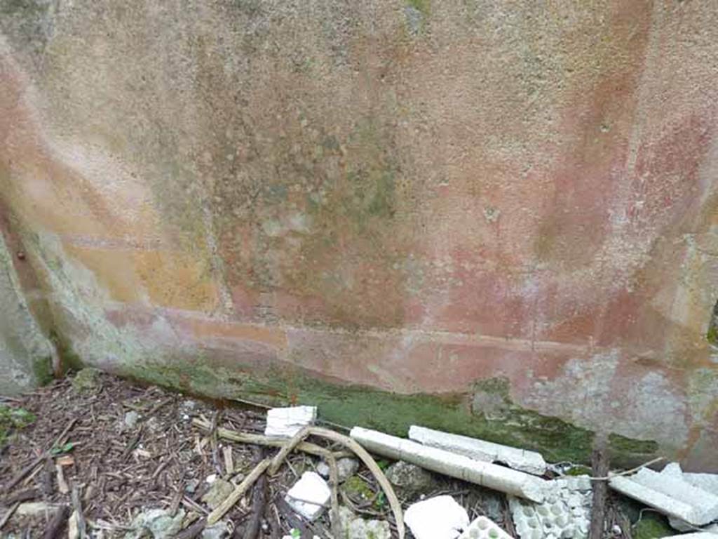 III.8.4 Pompeii. May 2010. Painted plaster on west wall.