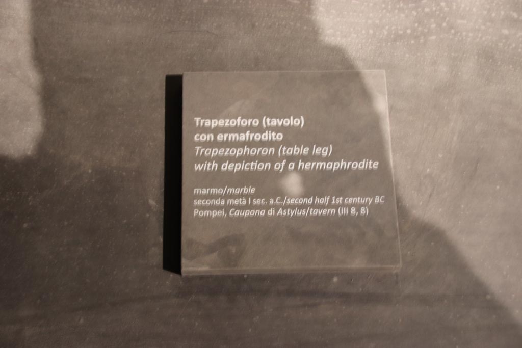 III.8.8 Pompeii. October 2022. Information card. Photo courtesy of Klaus Heese.

