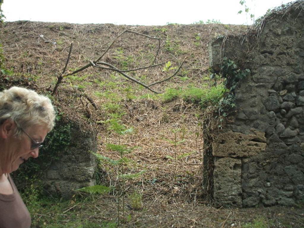 III.11.2 Pompeii. May 2005.  Entrance to fauces on Via Nola.

It is difficult to reconcile the entrances in this insula with the plans as the entrances onto Via Nola have been filled in or are unexcavated.
