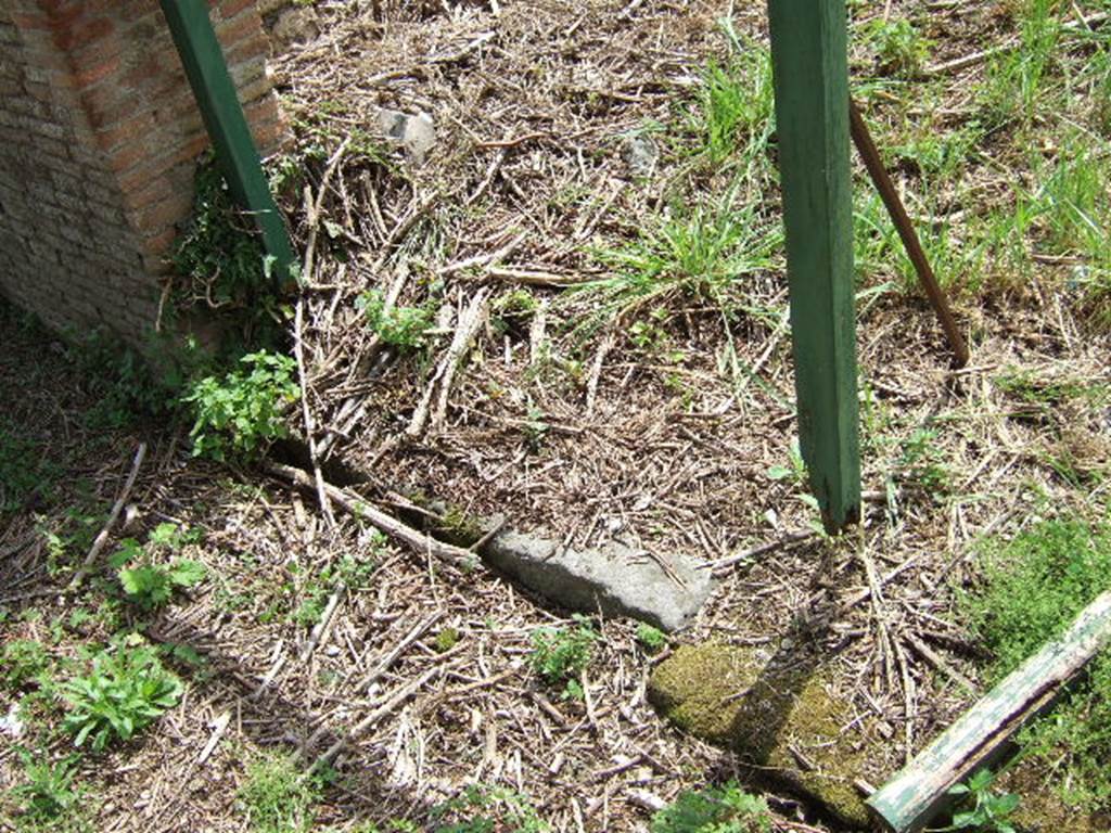 III.11.5 Pompeii. May 2006.  Site of entrance.