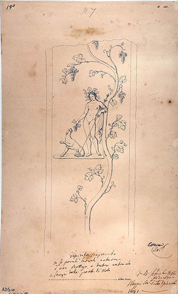IV.1.d and IV.1.e Pompeii behind custodians shed. 1841 drawing by G. Abbate.
Drawing of a naked Bacchus crowned with vine leaves, and with thyrsus, grapes and sitting panther. 
A vine runs from bottom to top of the panel.
Frhlich identified Bacchus on the right of the entrance and Mercury on the left of the entrance.
Now in Naples Archaeological Museum. Inventory number ADS 101.
See Frhlich, T., 1991. Lararien und Fassadenbilder in den Vesuvstdten. Mainz: von Zabern. (p.316, F26).
Photo  ICCD. https://www.catalogo.beniculturali.it
Utilizzabili alle condizioni della licenza Attribuzione - Non commerciale - Condividi allo stesso modo 2.5 Italia (CC BY-NC-SA 2.5 IT)
Kuivalainen comments 
Bacchus is offering a bunch of grapes to the panther. The composition and its details, such as the large wreath, the thirsty/covetous panther with the naked Bacchus, and the considerable size of the vine, all emphasize the significance of the harvest.
See Kuivalainen, I., 2021. The Portrayal of Pompeian Bacchus. Commentationes Humanarum Litterarum 140. Helsinki: Finnish Society of Sciences and Letters, (p.109-10, C5).

