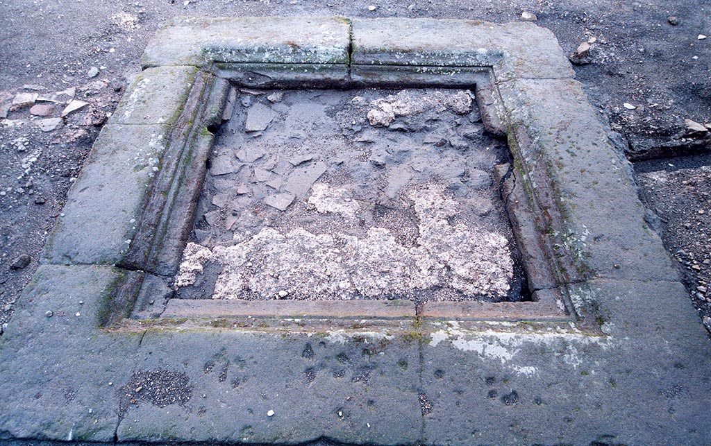 V.1.15 Pompeii. c.2006. Impluvium in atrium, looking north. Photo by Henrik Boman.  
Impluvium in atrium, with “the preserved area of cocciopesto visible after heavy rain. Seen from south”. 
Photo and words courtesy of the Swedish Pompeii Project.
