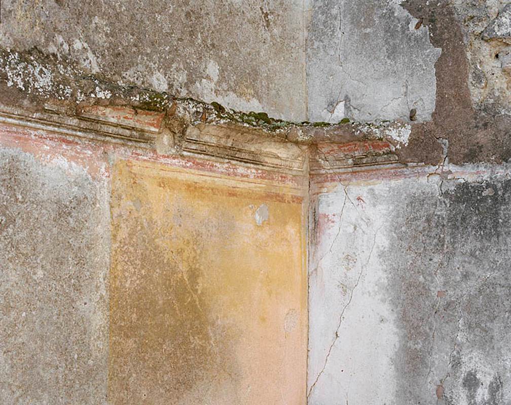 V.1.18 Pompeii. c.2005-2008.  
Room “l” (L), detail of painted decoration in south-west corner. Photo by Hans Thorwid.
Photo courtesy of The Swedish Pompeii Project.
