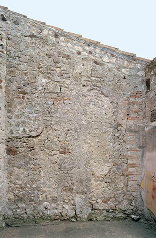 V.1.18 Pompeii. c.2005-2008.   
Room “n”, oecus, looking towards east wall. Photo by Hans Thorwid.
Photo courtesy of The Swedish Pompeii Project.
