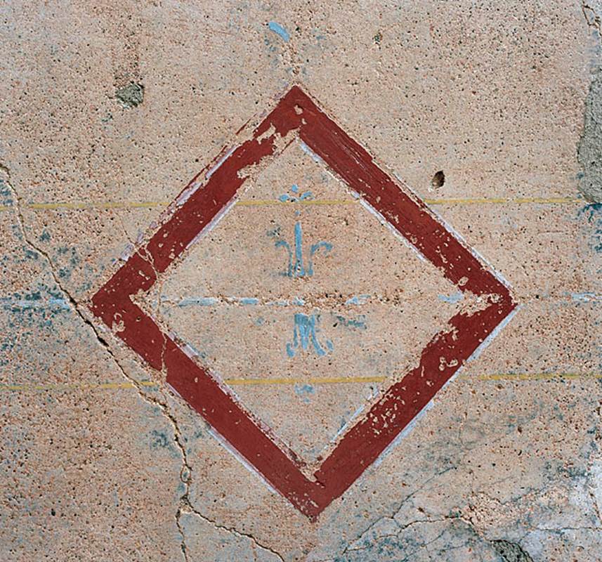 V.1.18 Pompeii. 2012.  
Room “p”, oecus, detail of painted decoration on east wall. Photo by Hans Thorwid.
Photo courtesy of The Swedish Pompeii Project.
