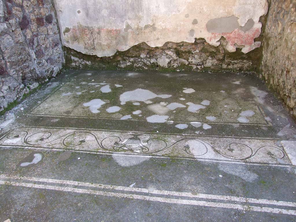 V.1.26 Pompeii. March 2009. Room “h”, mosaic floor in ala on south side of atrium.