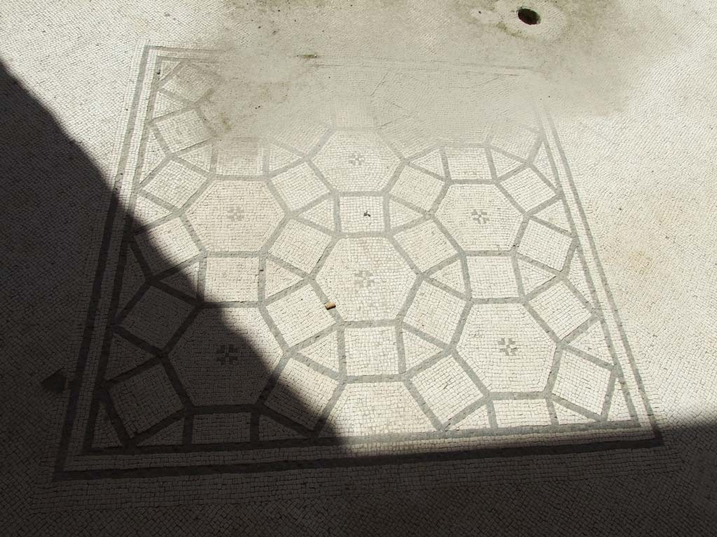 V.1.26 Pompeii. March 2009. Room “i”, mosaic in tablinum. Central emblema.