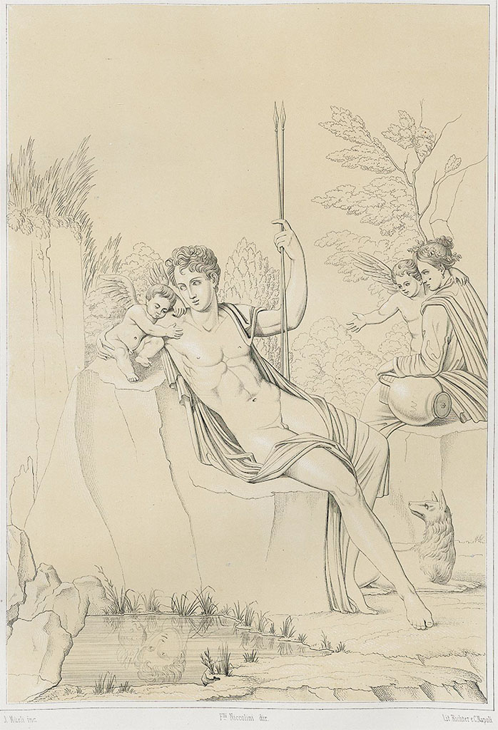 V.1.26 Pompeii. Room “t”, east wall painting of Narcissus.
According to Niccolini –
Tav. XXVI. Another painting was found facing that already described (Tav. XXIV) in the triclinium in the house in Reg. V. Insula 1. It shows Narcissus …….. 
See Niccolini F, 1862. Le case ed i monumenti di Pompei: Volume Secondo. Napoli, Tav. XXVI.
See Mau, Bullettino dell’Instituto di Corrispondenza Archeologica (DAIR), 1876, p.230, no.34.
See Sogliano, A., 1879. Le pitture murali campane scoverte negli anni 1867-79. Napoli: Giannini. No. 589, room in the extreme south of the east side of the peristyle. Quite wasted away.

