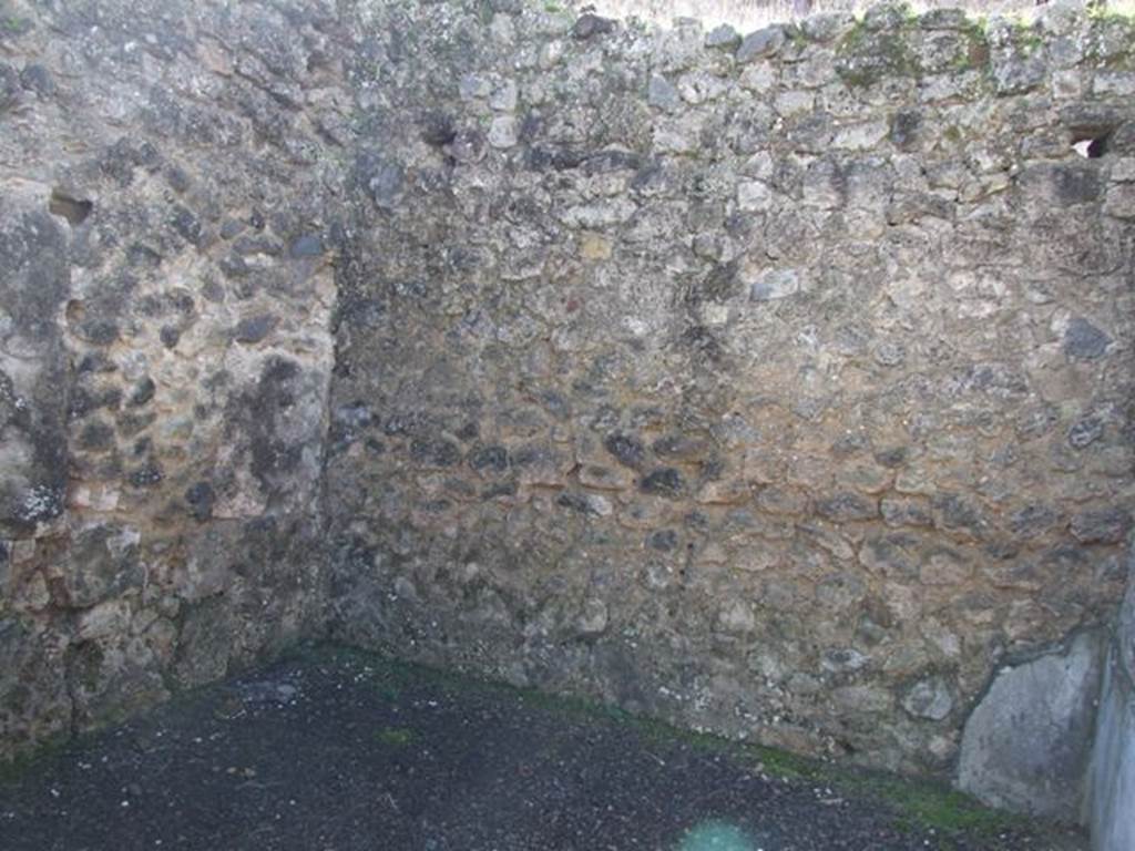 V.2.1 Pompeii.  March 2009.  Room 5, South west corner.