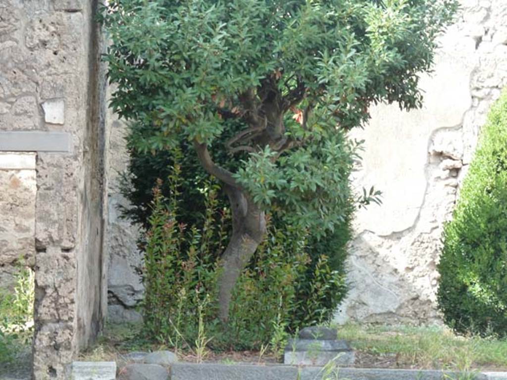 V.2.1 Pompeii. September 2015. Looking north to west side of garden area.