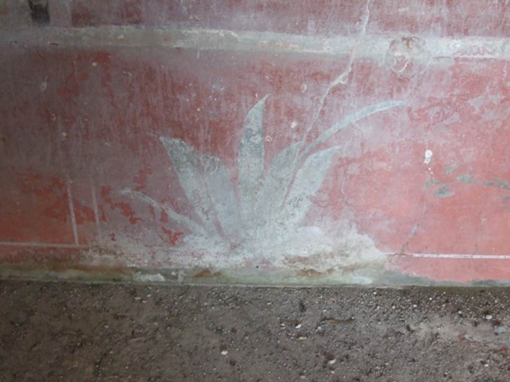 V.2.4 Pompeii. Room 15, painting of thick leaved plant.