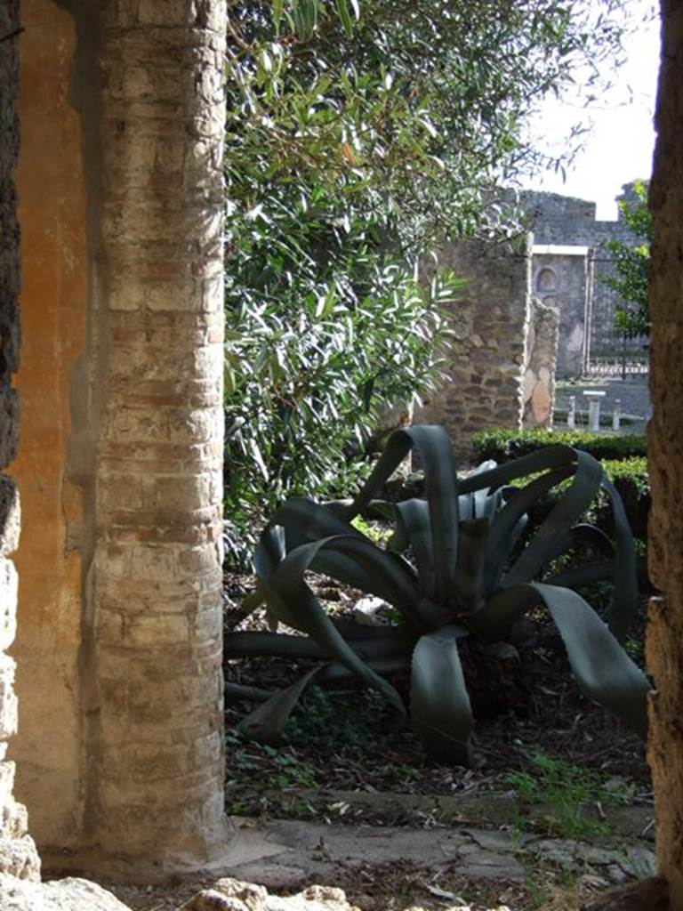 V.2.4 Pompeii. May 2005. Looking south from room 17 across peristyle.