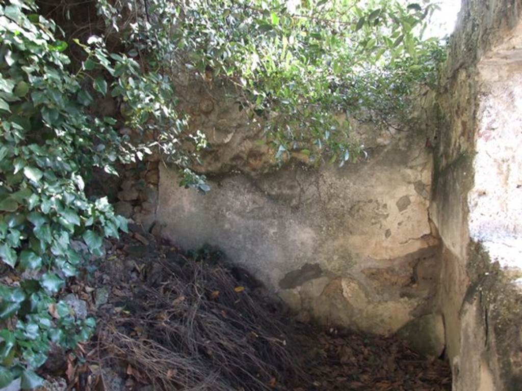 V.2.15 Pompeii. December 2007.  Room 6.