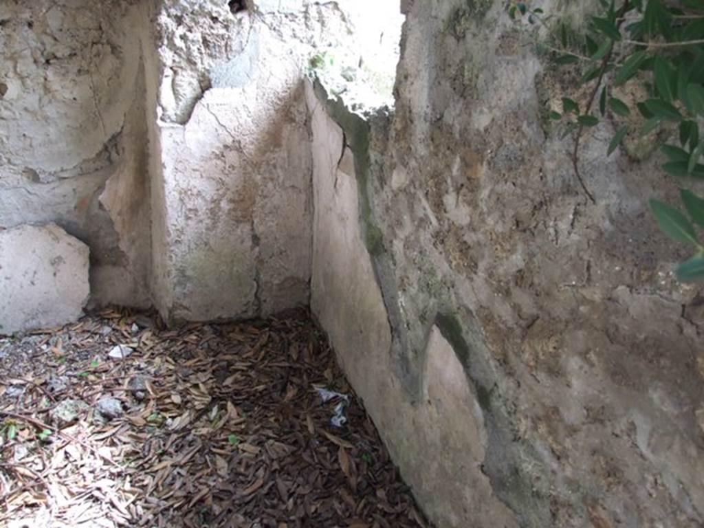 V.2.15 Pompeii. March 2009.  Room 7, South west corner.