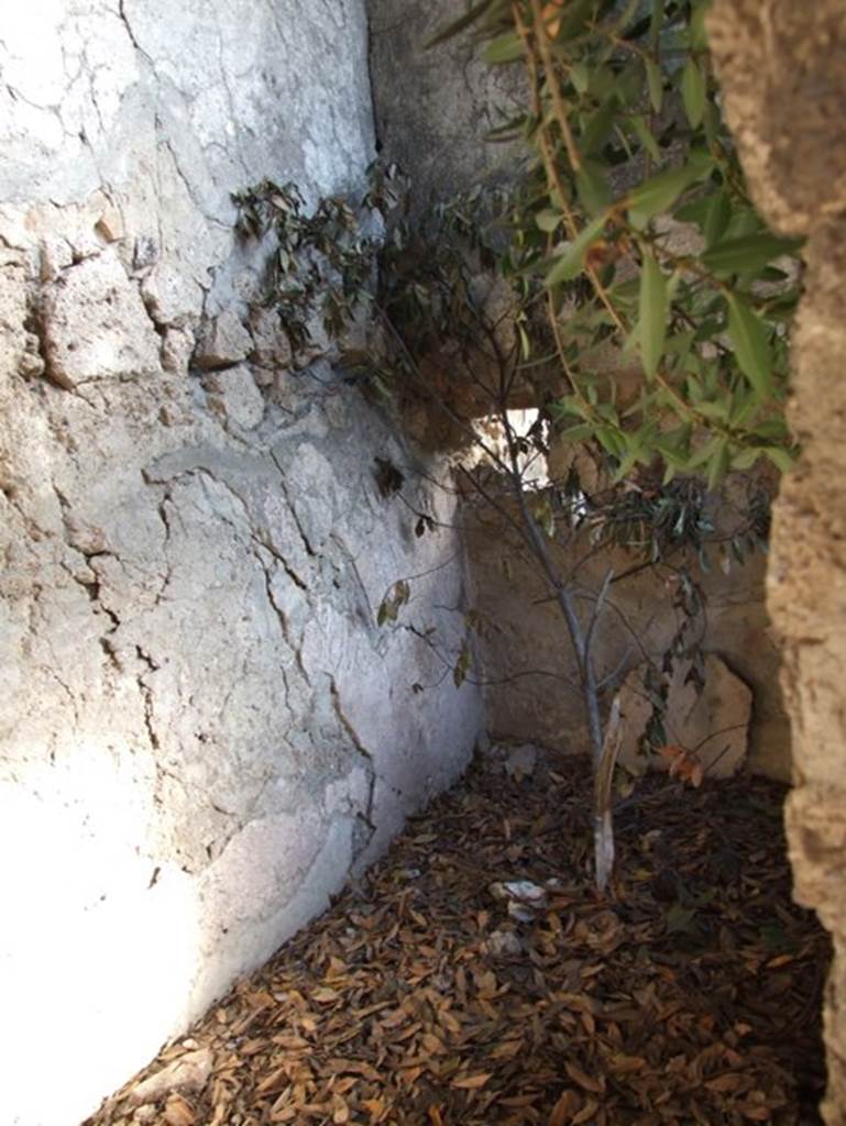 V.2.15 Pompeii. December 2007. Room 7, cubiculum, looking towards south-east corner.