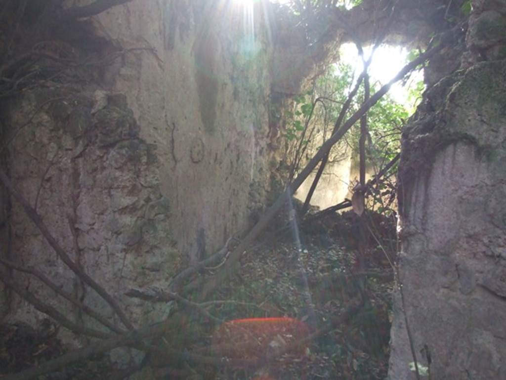 V.2.21 Pompeii. December 2007. Looking east from atrium along entrance corridor. 