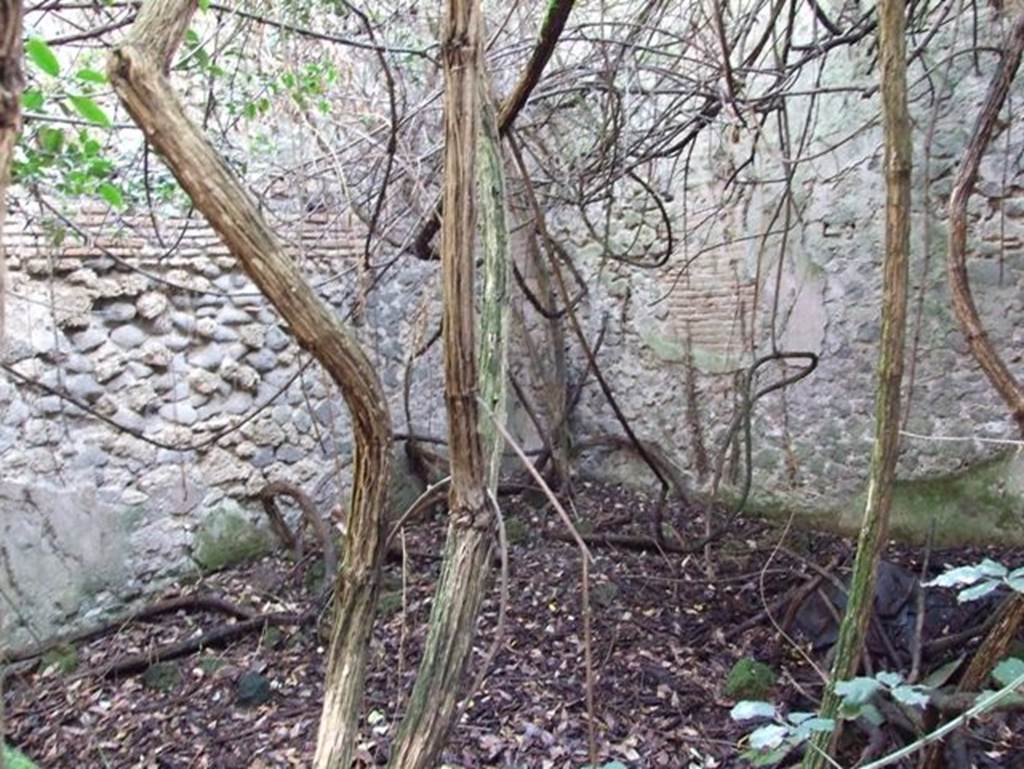V.2.21 Pompeii. December 2007. Looking towards south-east corner of large room on south side of entrance corridor. 