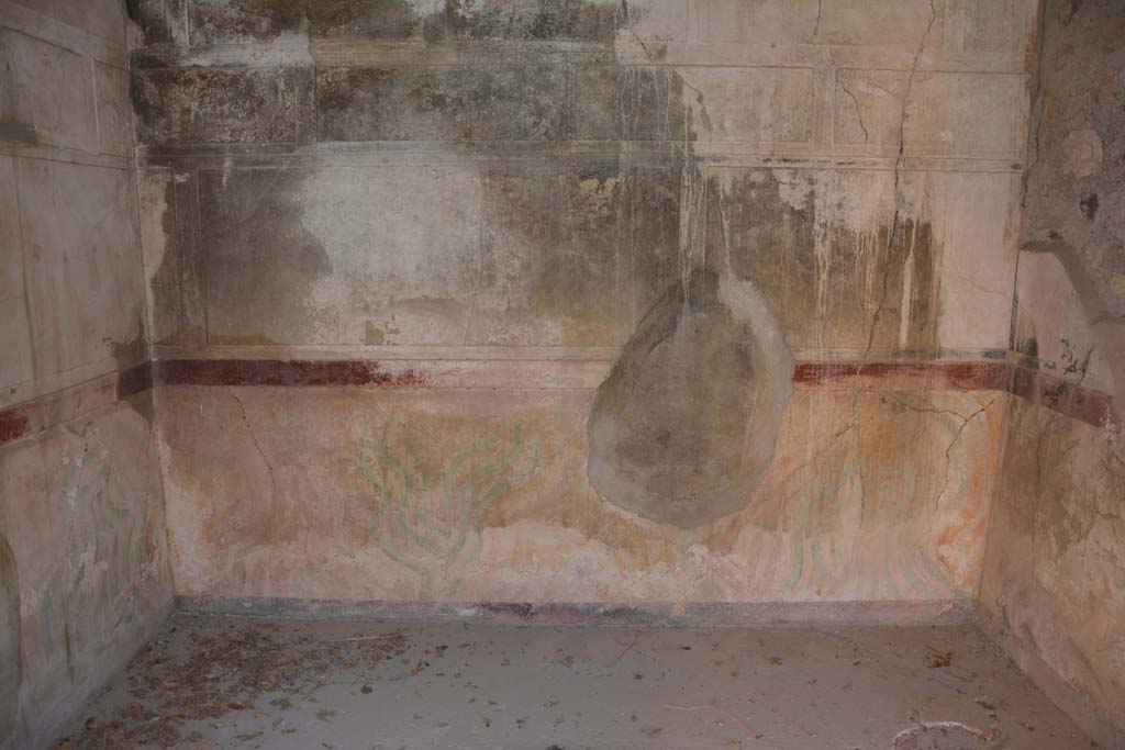 V.2.h Pompeii. October 2019. Room i, lower east wall.
Foto Annette Haug, ERC Grant 681269 DCOR.

