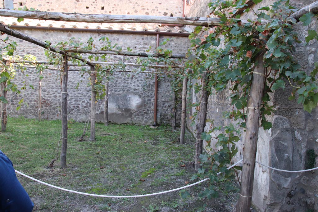 V.2.i Pompeii. October 2023. Garden area 25, looking east across south side of large garden. Photo courtesy of Klaus Heese.