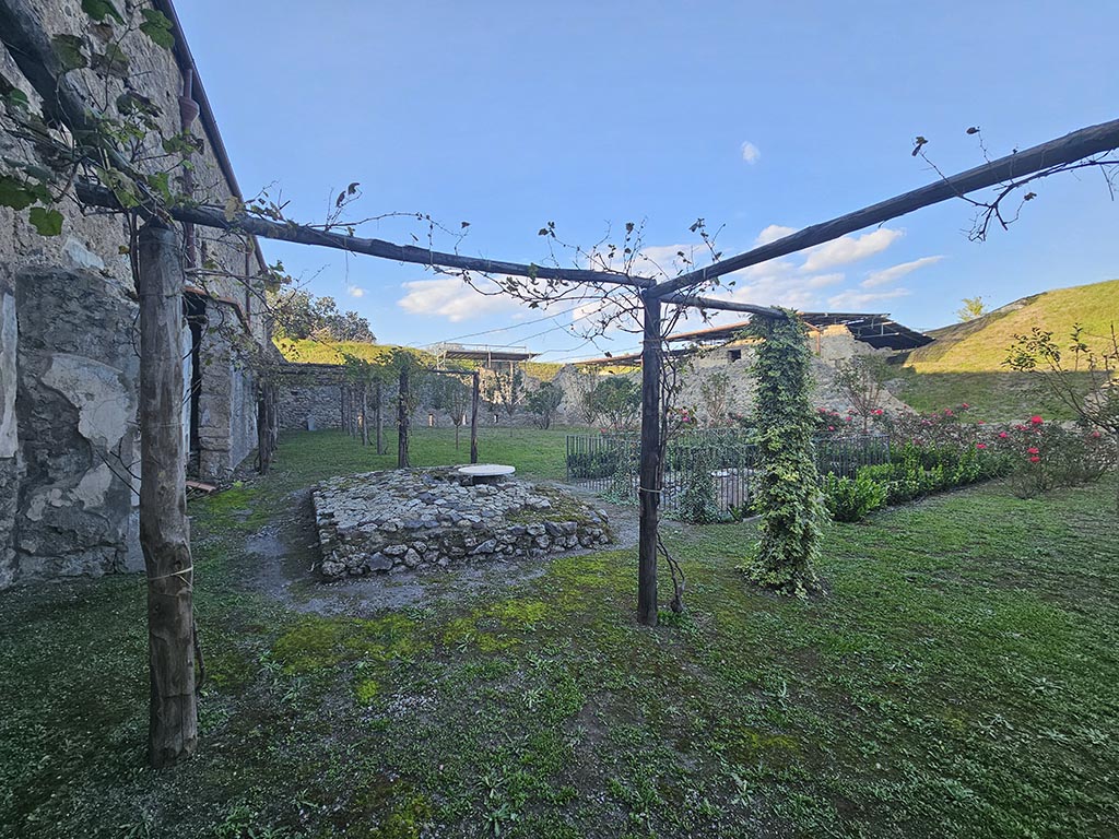 V.2.i Pompeii. November 2024. Garden area 25, looking north. Photo courtesy of Annette Haug.