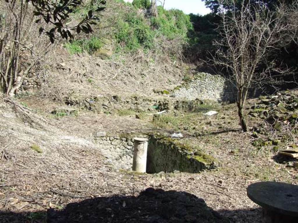 V.2.i Pompeii. March 2009.  Rectangular pool with column, in front of the site of the triclinium with the round table.  Looking east into the unexcavated.
