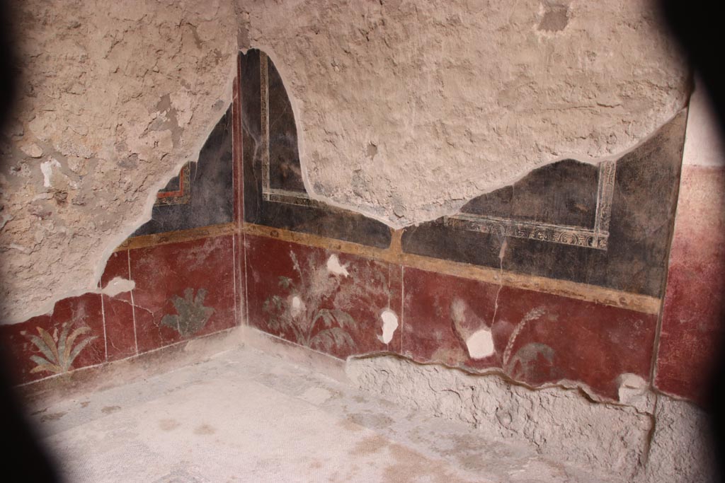 V.2.i Pompeii.  October 2023. Room 5, south-east corner and south wall. Photo courtesy of Klaus Heese.