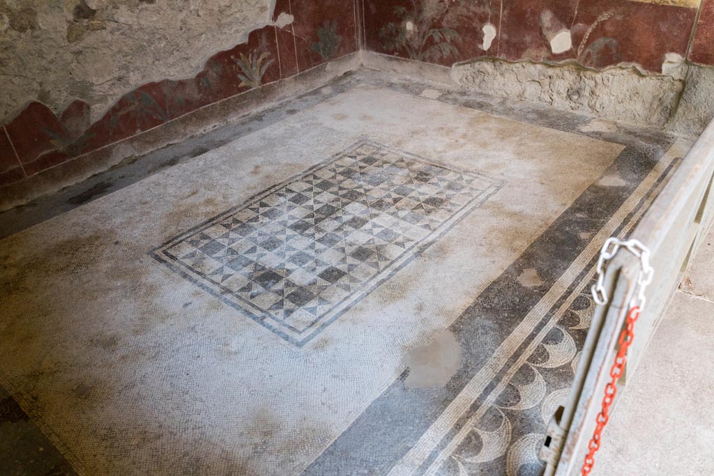 V.2.i Pompeii. March 2023. Room 5, mosaic flooring in ala. Photo courtesy of Johannes Eber.