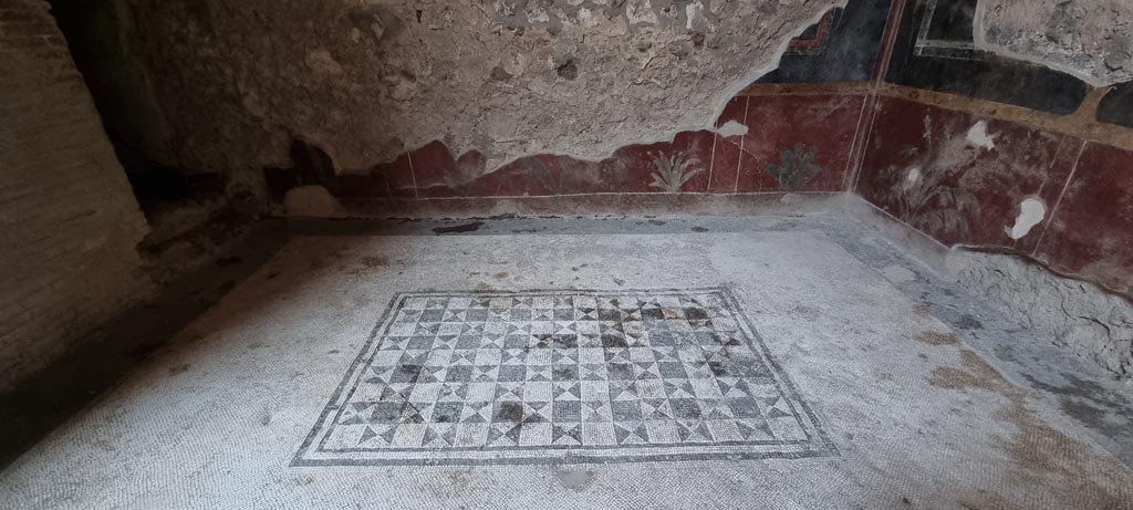 V.2.i Pompeii. December 2023. Room 5, mosaic flooring in ala. Photo courtesy of Miriam Colomer.