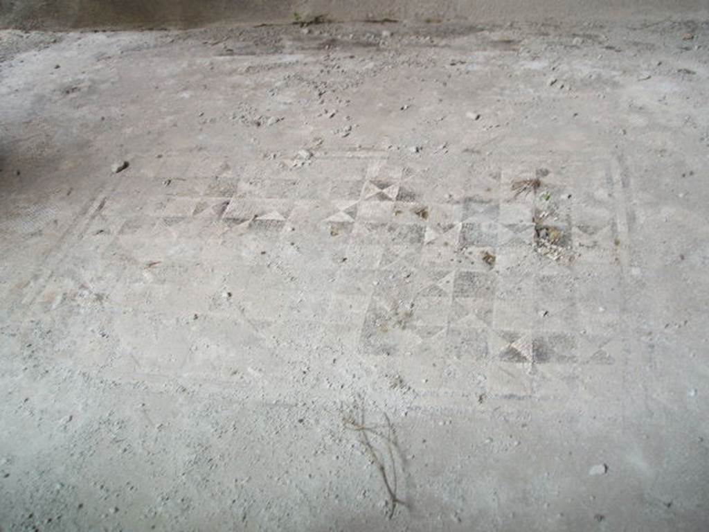 V.2.i Pompeii.  December 2007.  Room 5. Mosaic floor.