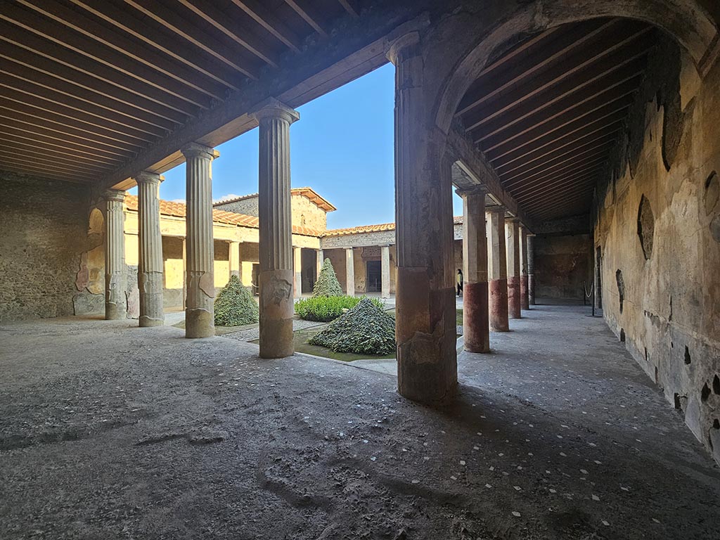 V.2.i Pompeii. November 2024. Looking south across peristyle from north portico at west end. Photo courtesy of Annette Haug.